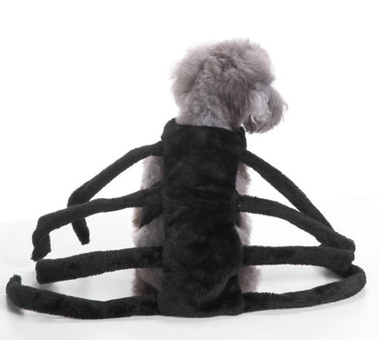 Spider Dog Halloween Pet Costume