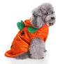 Spider Dog Halloween Pet Costume
