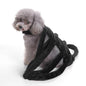 Spider Dog Halloween Pet Costume
