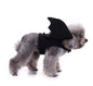 Spider Dog Halloween Pet Costume