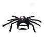 Bat Wing Cat & Small Dog Halloween Pet Costume