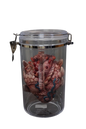 Alien Heart Specimen Jar