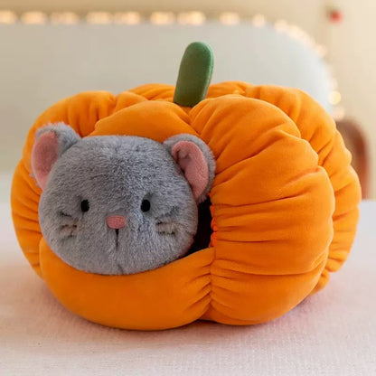 Cute Kitty and Puppy with Pumpkin