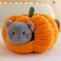 Cute Kitty and Puppy with Pumpkin