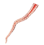 2ft Flex Octopus Tentacle