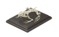Mounted Frog Skeleton - Real Bone