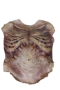 Zombie Torso Skin